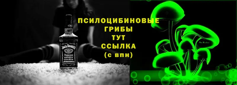 где найти   Лиски  Псилоцибиновые грибы Psilocybe 